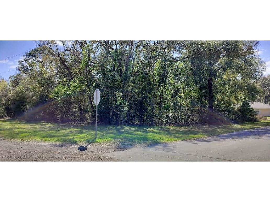 517 S Savary Avenue Inverness FL 34453 TB8354539 image8