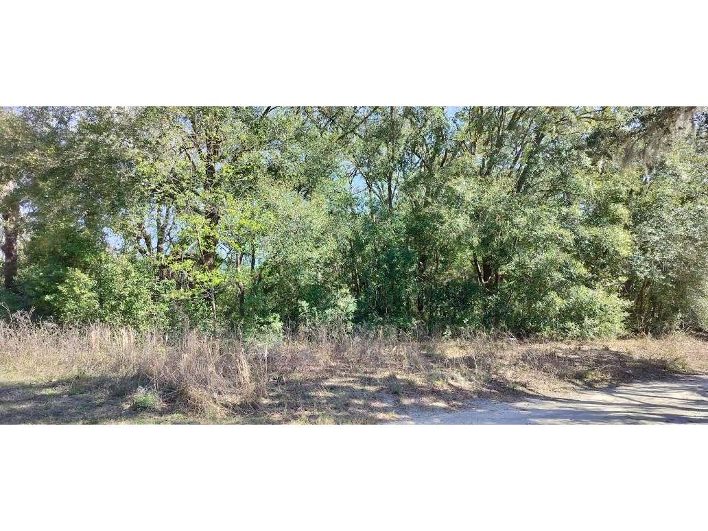 517 S Savary Avenue Inverness FL 34453 TB8354539 image9