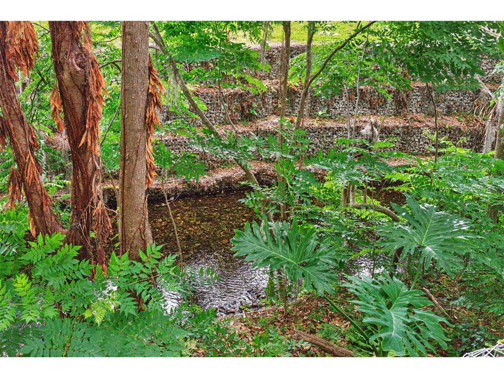 517 San Sebastian Prado Altamonte Springs FL 32714 - LITTLE WEKIVA RIVER O6396947 image2