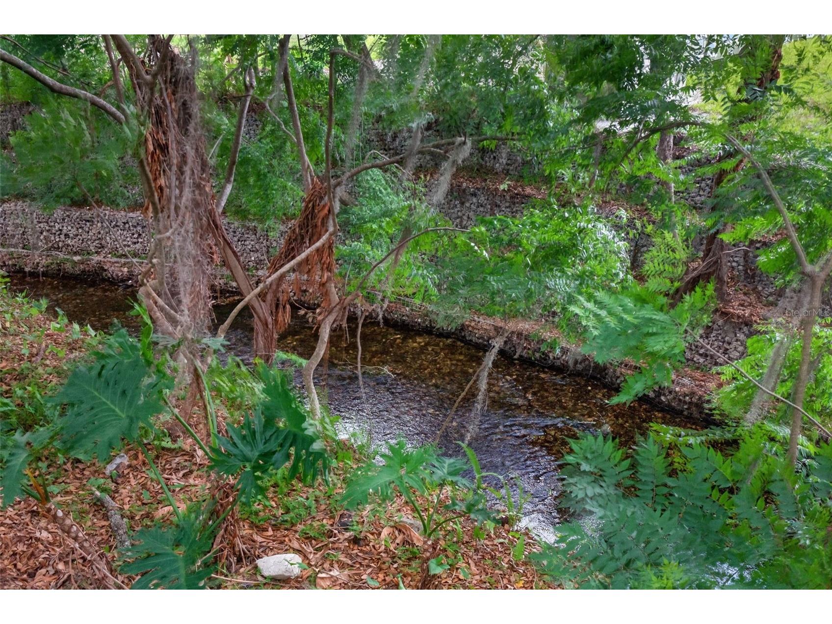 517 San Sebastian Prado Altamonte Springs FL 32714 - LITTLE WEKIVA RIVER O6396947 image56