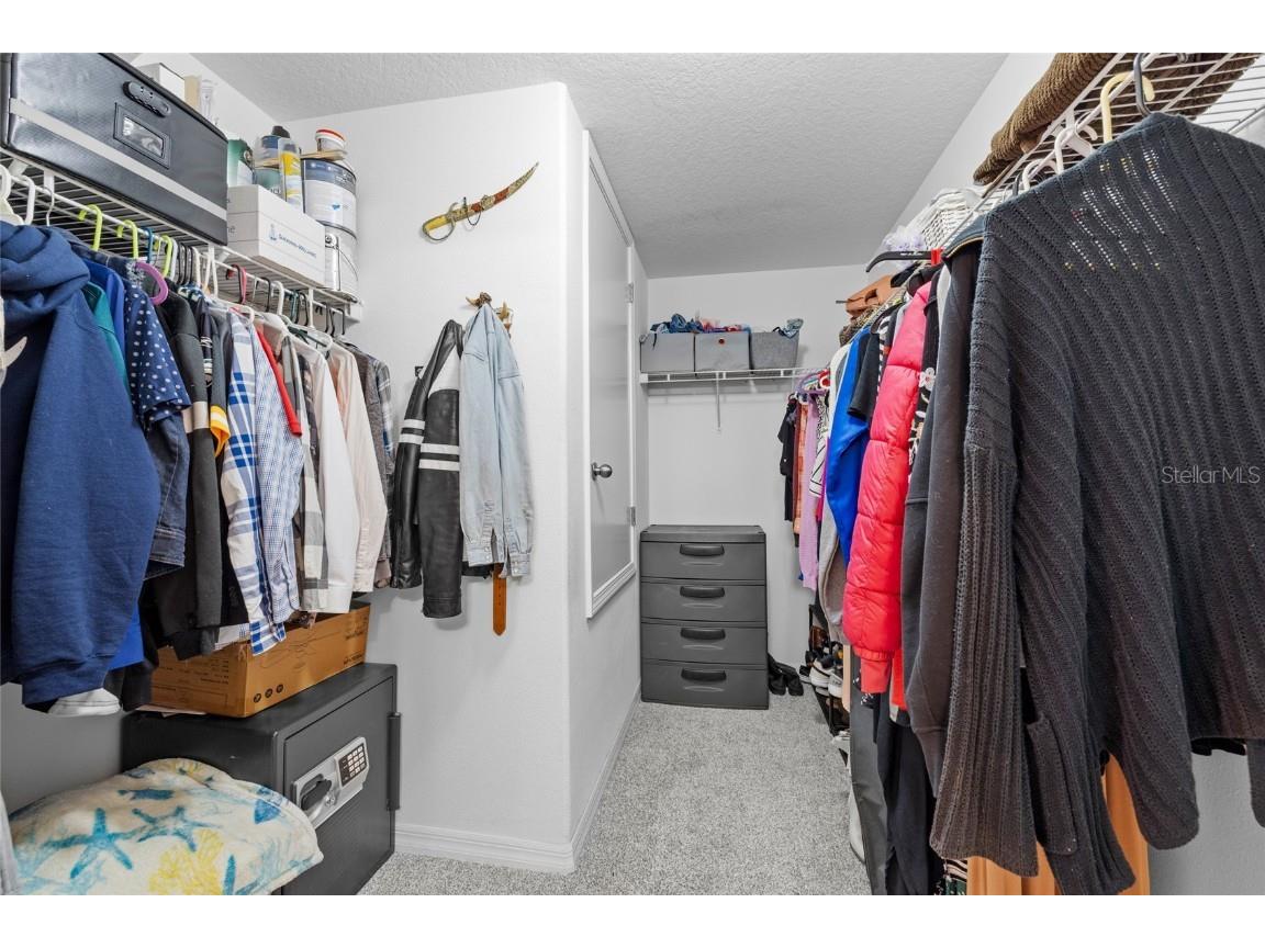 517 Serenity Mill Loop Ruskin FL 33570 A4662415 image18