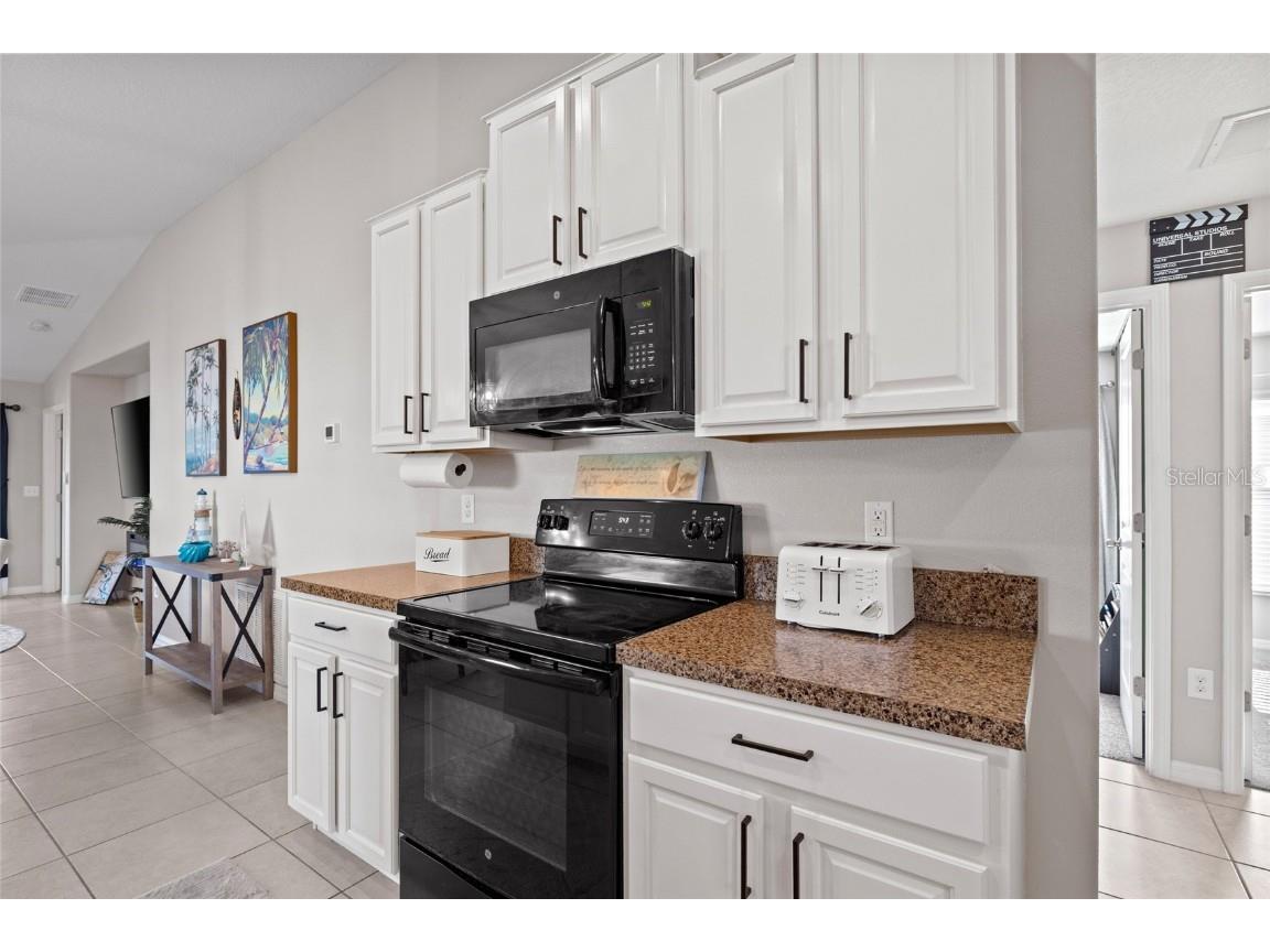 517 Serenity Mill Loop Ruskin FL 33570 A4662415 image4