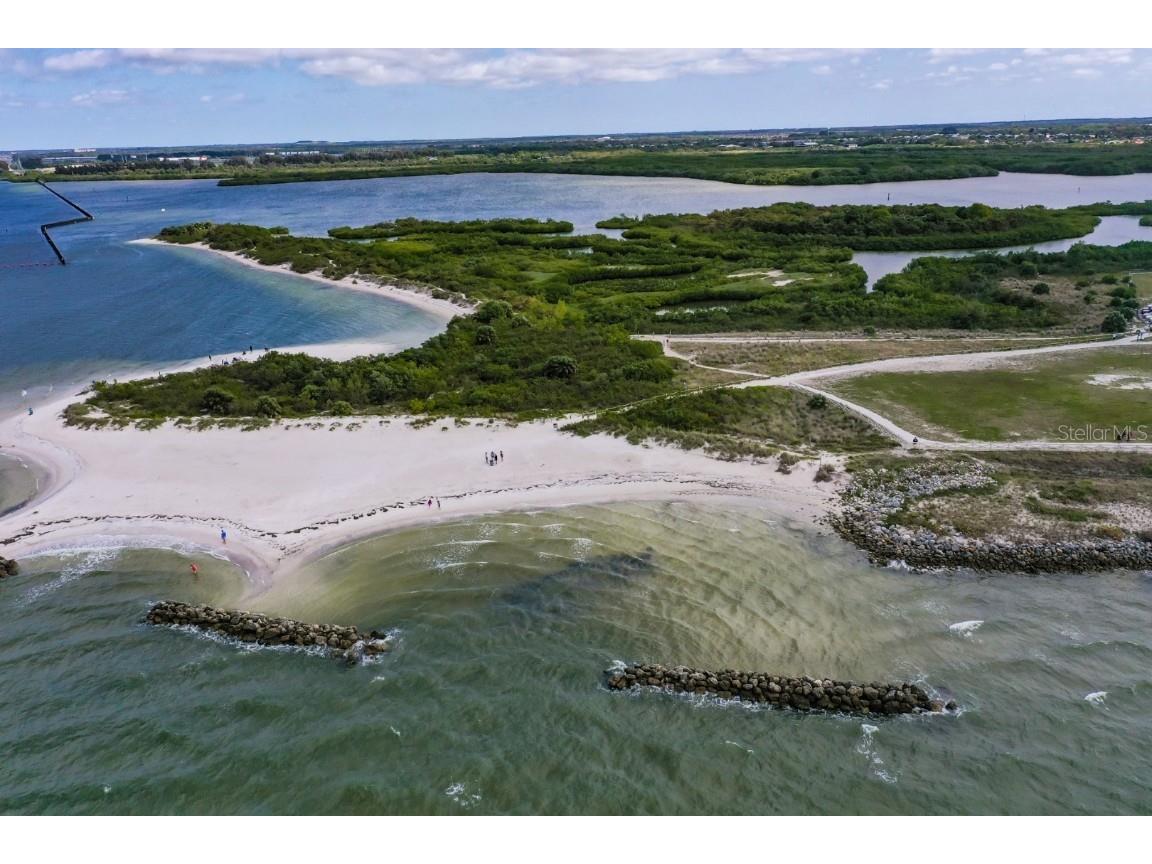 517 Villa Treviso Court Apollo Beach FL 33572 TB8426978 image41