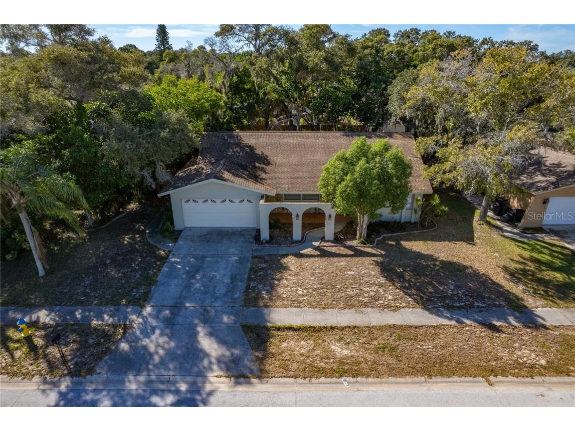 517 Wayfarer Drive Tarpon Springs FL 34689 U8218417 image1