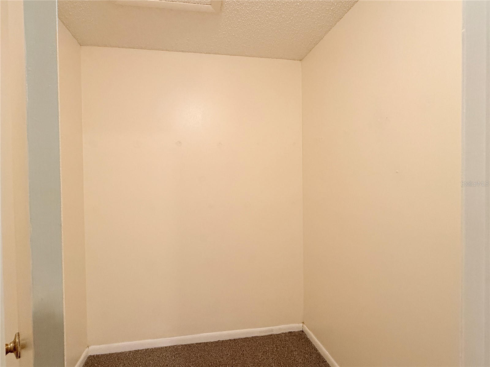 517 Whispering Pines Boulevard Inverness FL 34453 TB8523569 image26