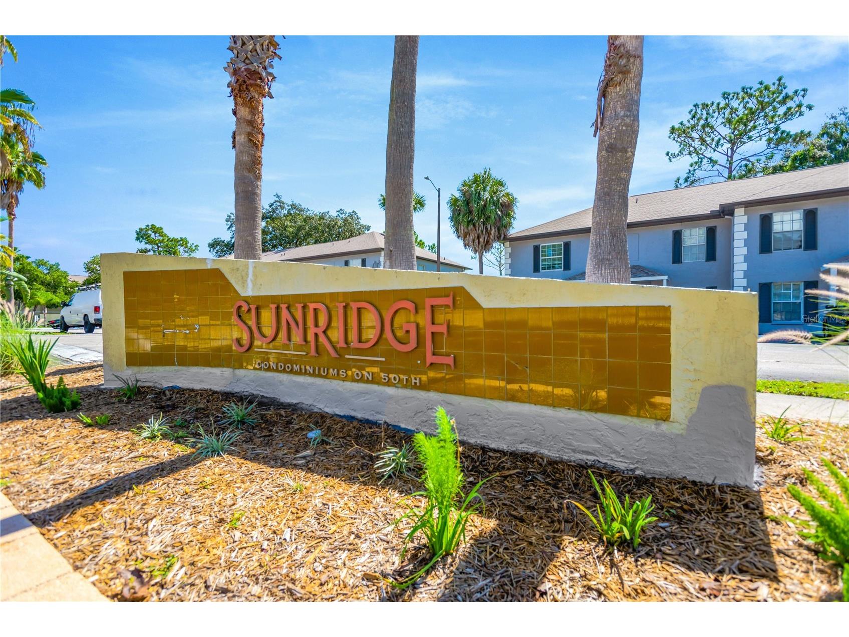 5170 Sunridge Palms Drive Tampa FL 33617 TB8465892 image1