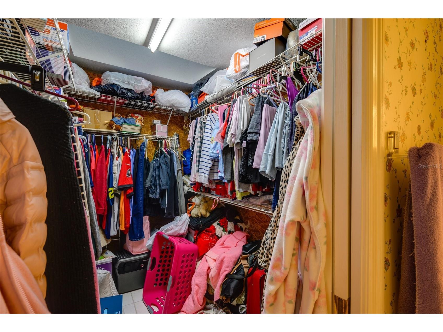 5173 Lydia Court Spring Hill FL 34608 C7520538 image26