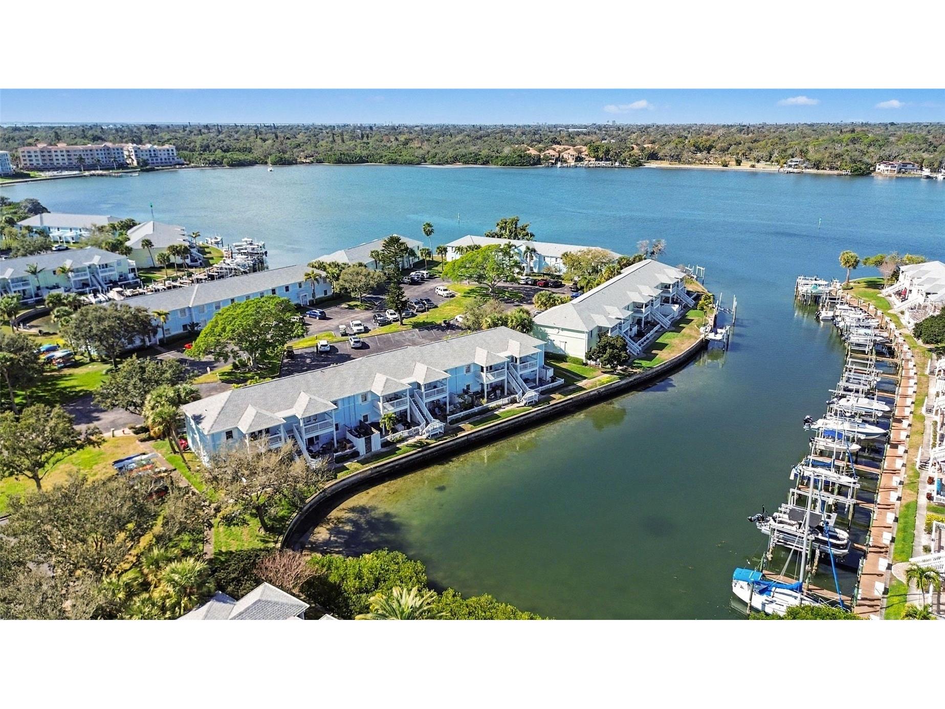5176 Salmon Drive SE #D Saint Petersburg FL 33705 TB8466080 image22