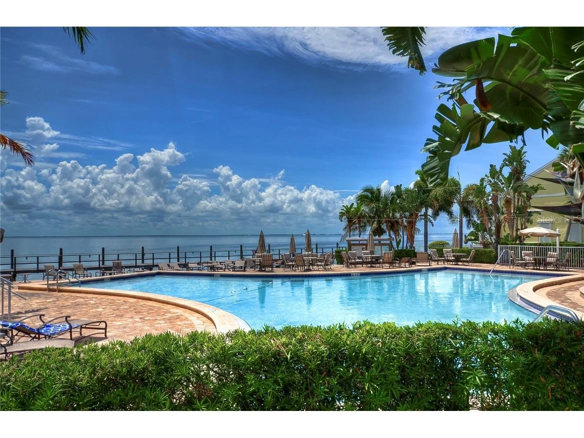 5176 SE Salmon Drive SE #D Saint Petersburg FL 33705 TB8335506 image49