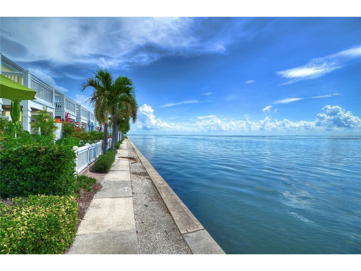 5176 SE Salmon Drive SE #D Saint Petersburg FL 33705 TB8335506 image56