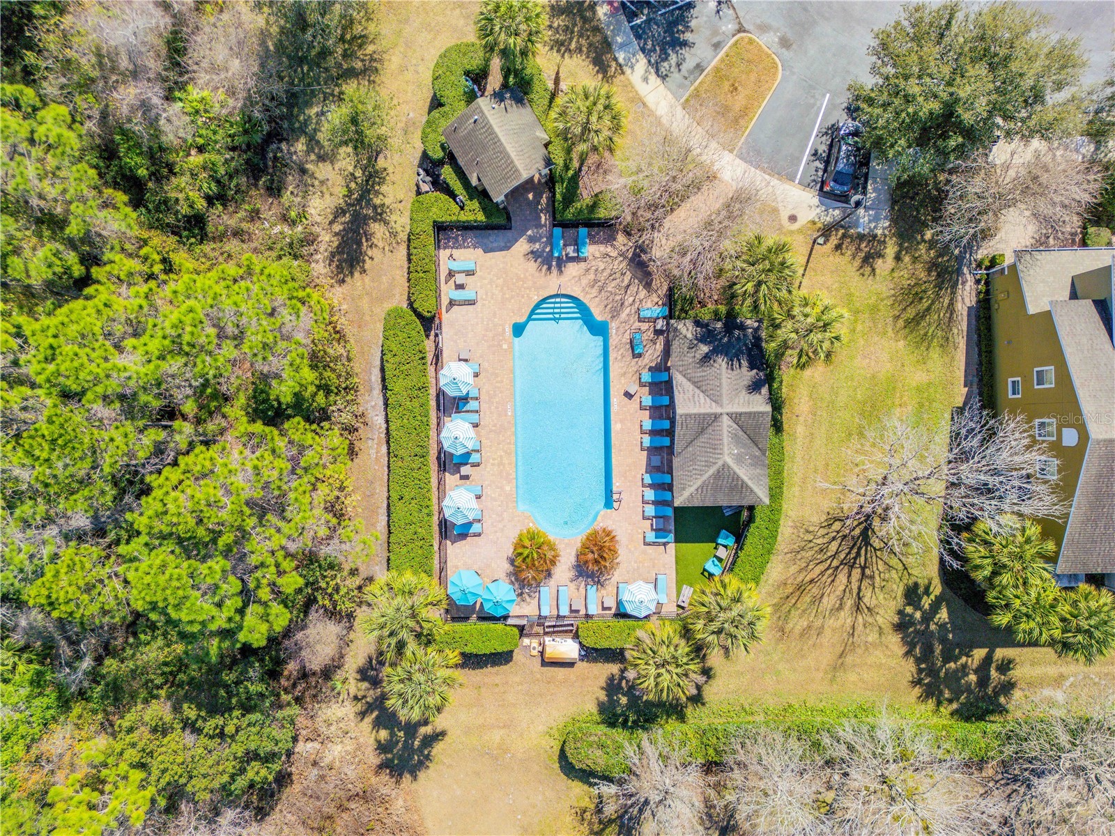 5178 Sabal Branch Cove Oviedo FL 32765 O6380059 image42