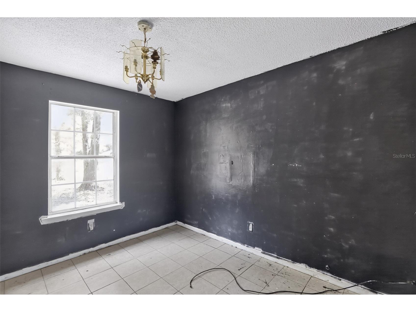 5179 Marcus Drive Greenwood FL 32443 TB8523784 image14