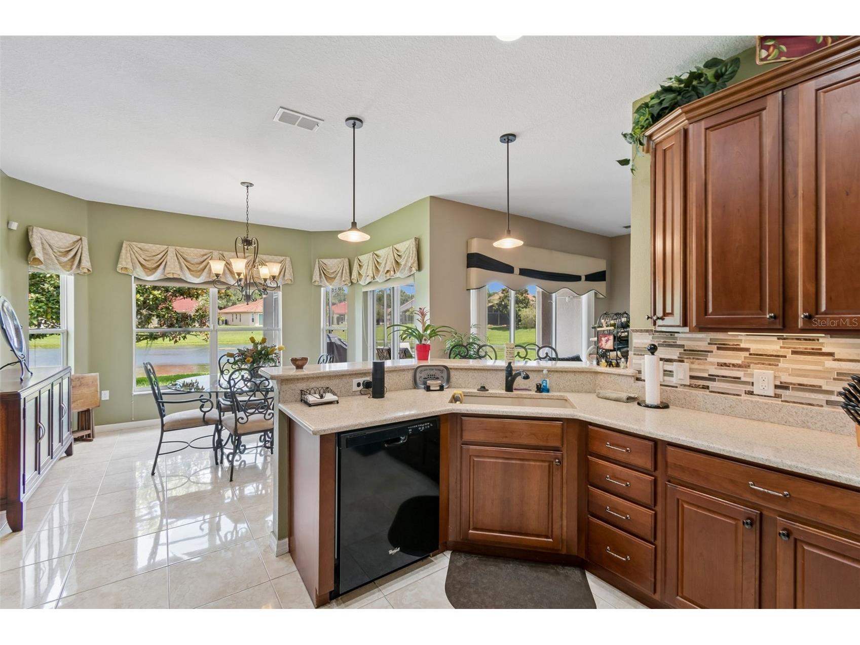 518 Davinci Pass Kissimmee FL 34759 S5151673 image10