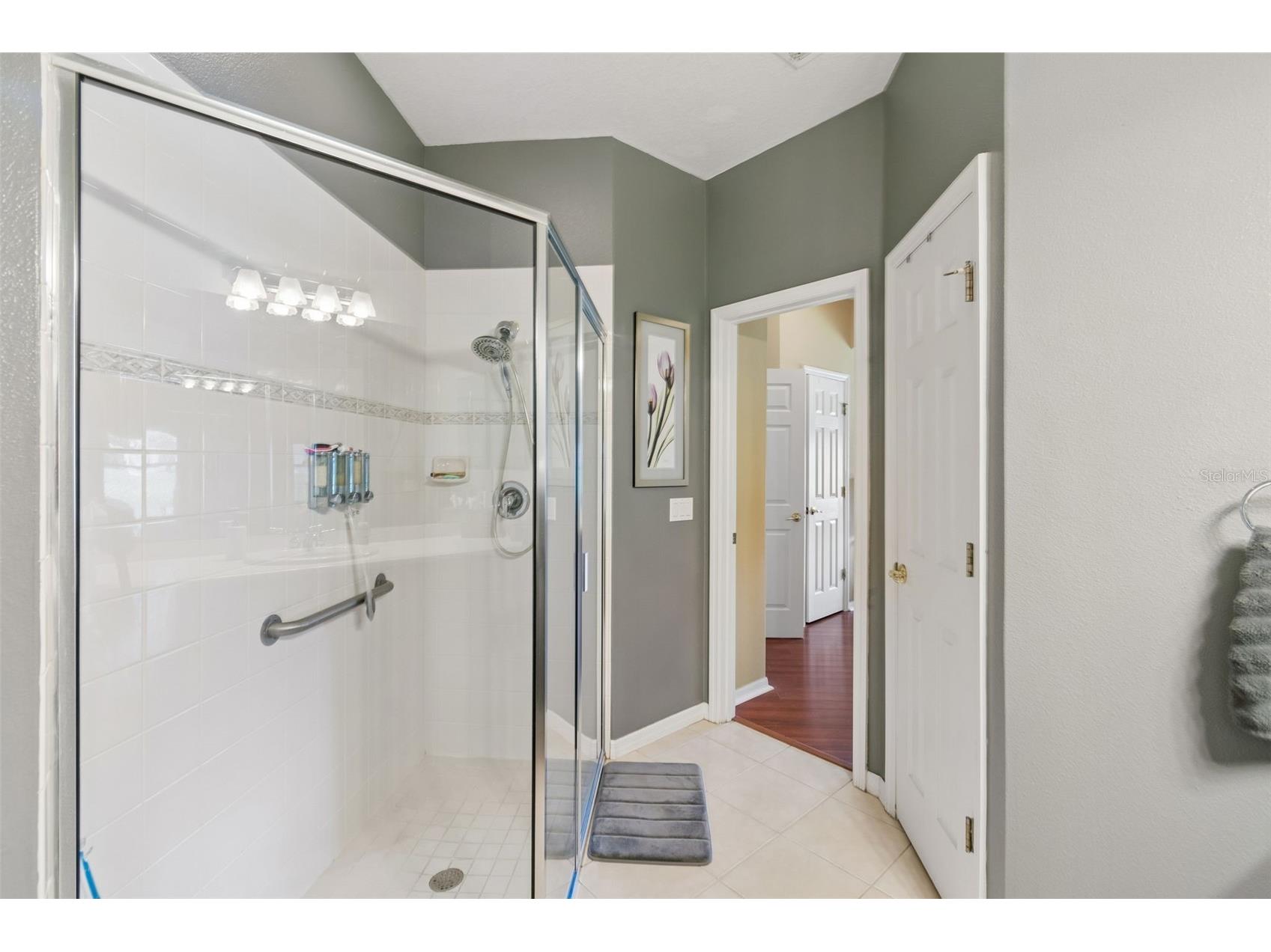 518 Davinci Pass Kissimmee FL 34759 S5151673 image23