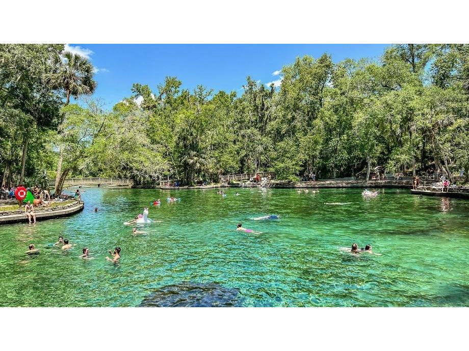 518 Emerald Grove Drive Apopka FL 32703 W7878219 image6