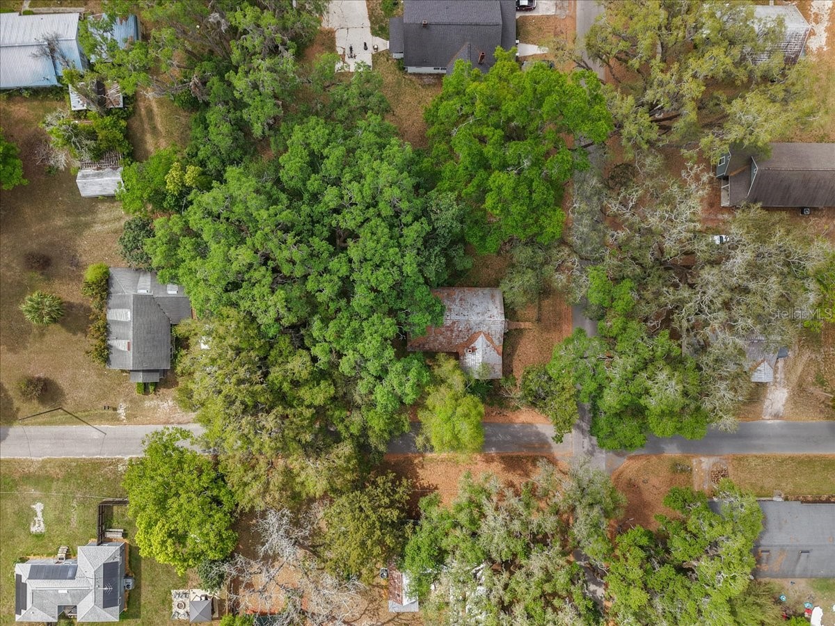 518 NE 2nd Street Trenton FL 32693 GC539177 image35