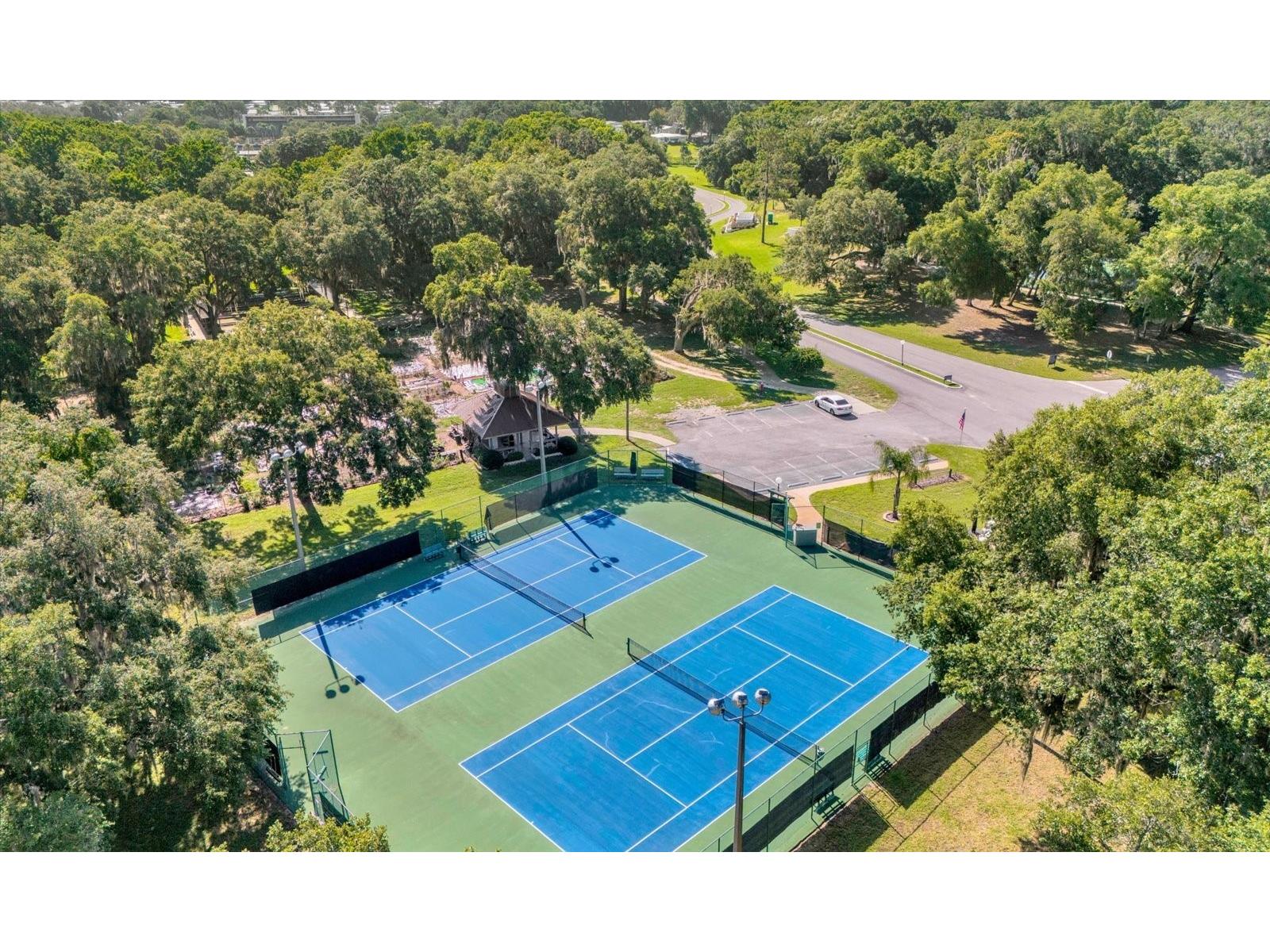 518 Palo Verde Dr Leesburg FL 34748 G5109413 image30