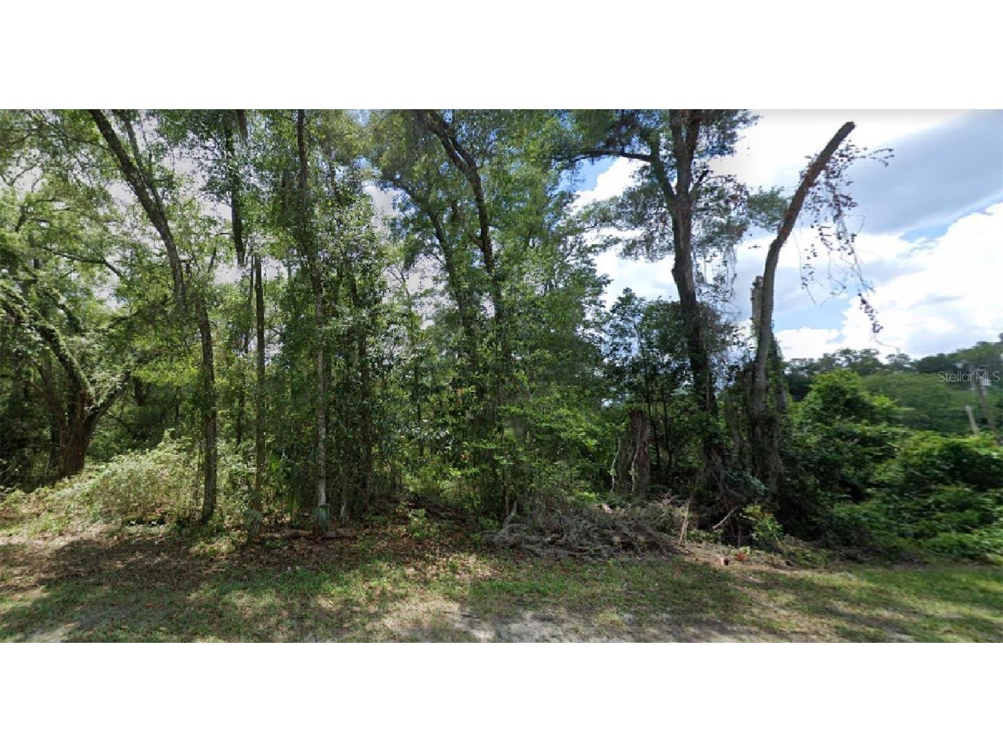 5180 N Florida Avenue Hernando FL 34442 O6129926 image1