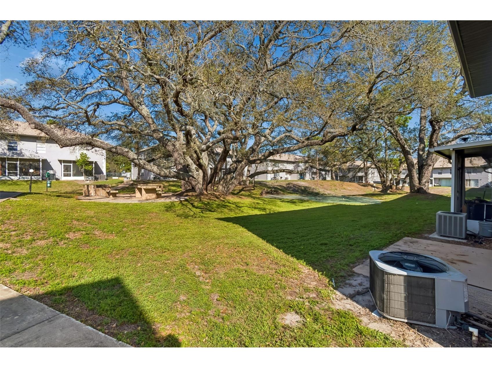 5182 Sunridge Palms Drive #5182 Tampa FL 33617 TB8488924 image67