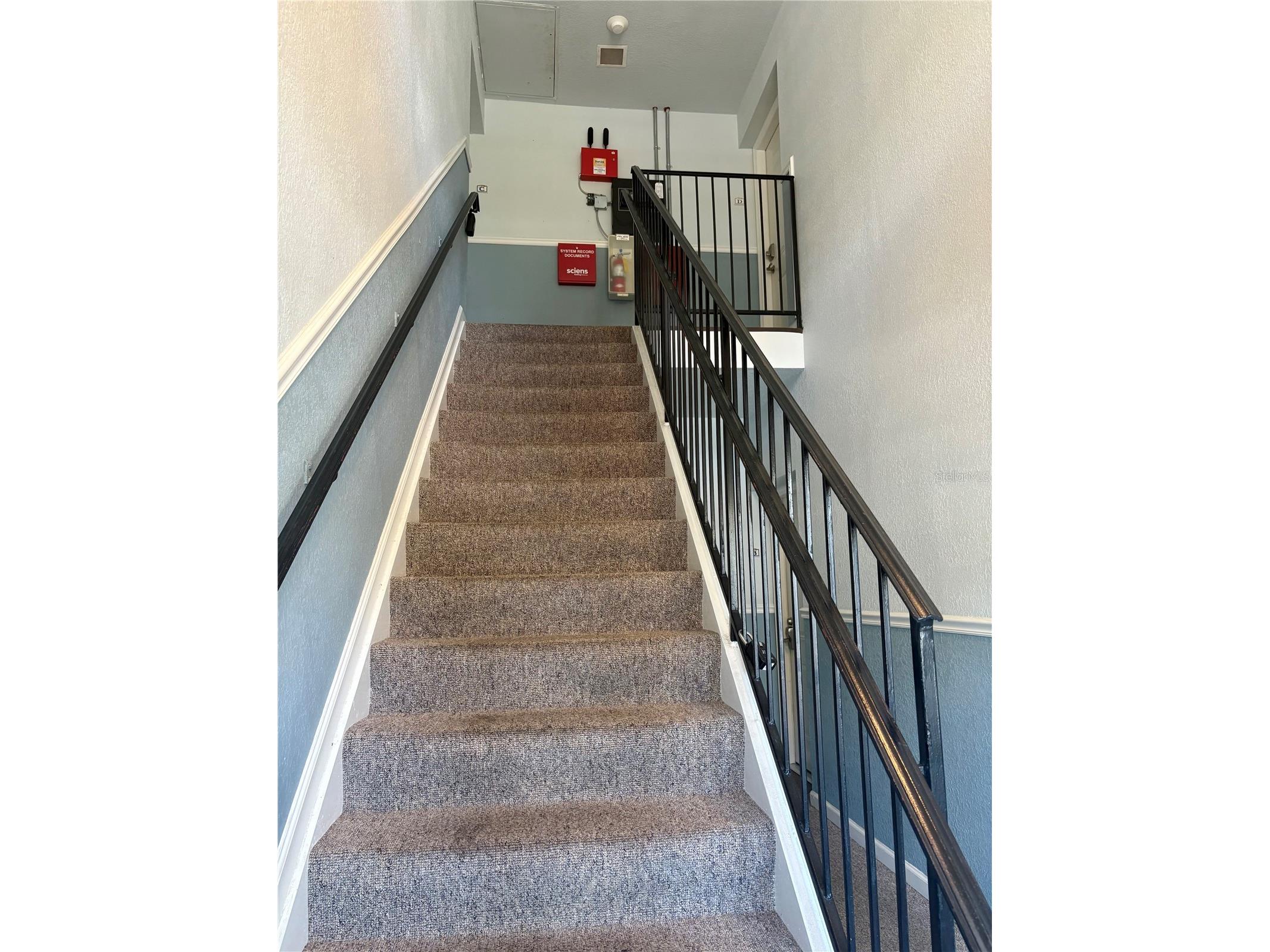 5184 Beach Drive SE #D Saint Petersburg FL 33705 - TAMPA BAY TB8523889 image5