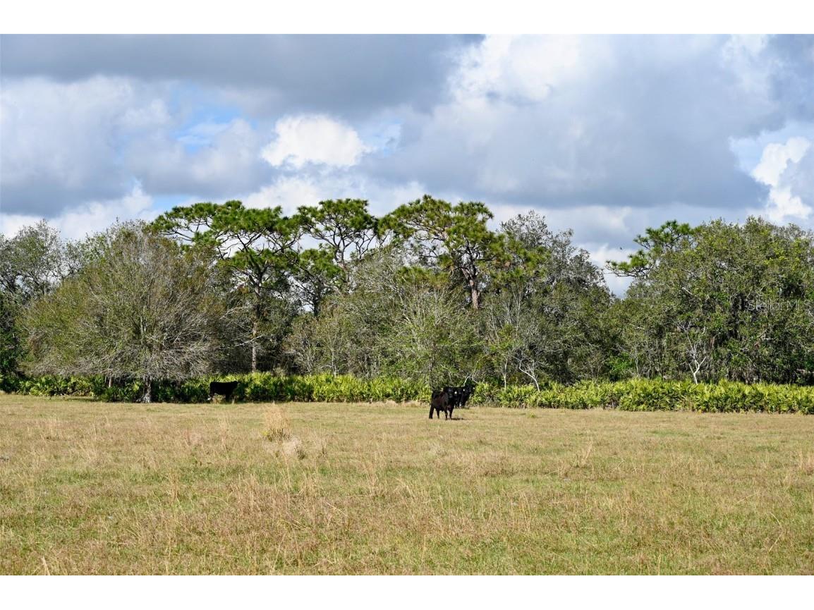 5185 NE Highway 17 Arcadia FL 34266 OM691689 image11