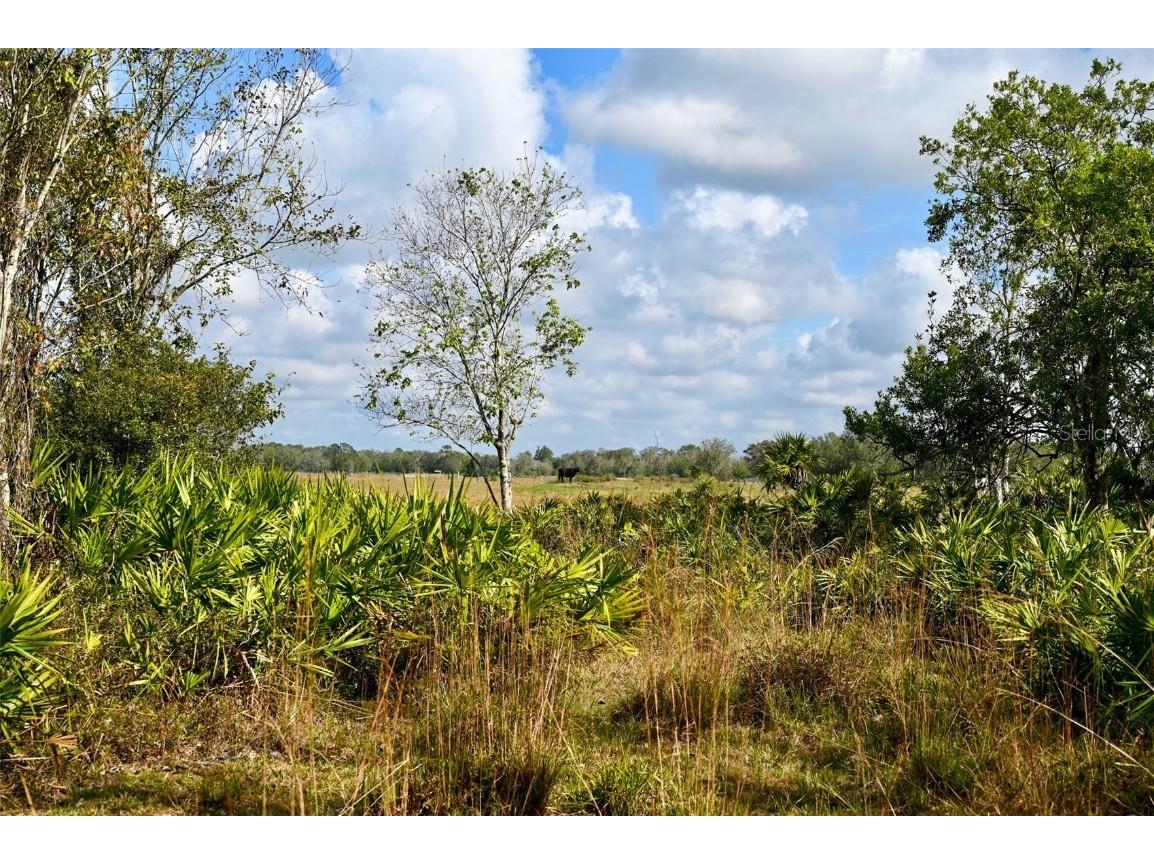 5185 NE Highway 17 Arcadia FL 34266 OM691689 image12