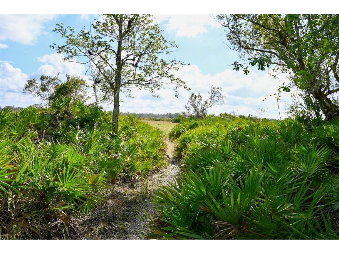 5185 NE Highway 17 Arcadia FL 34266 OM691689 image13