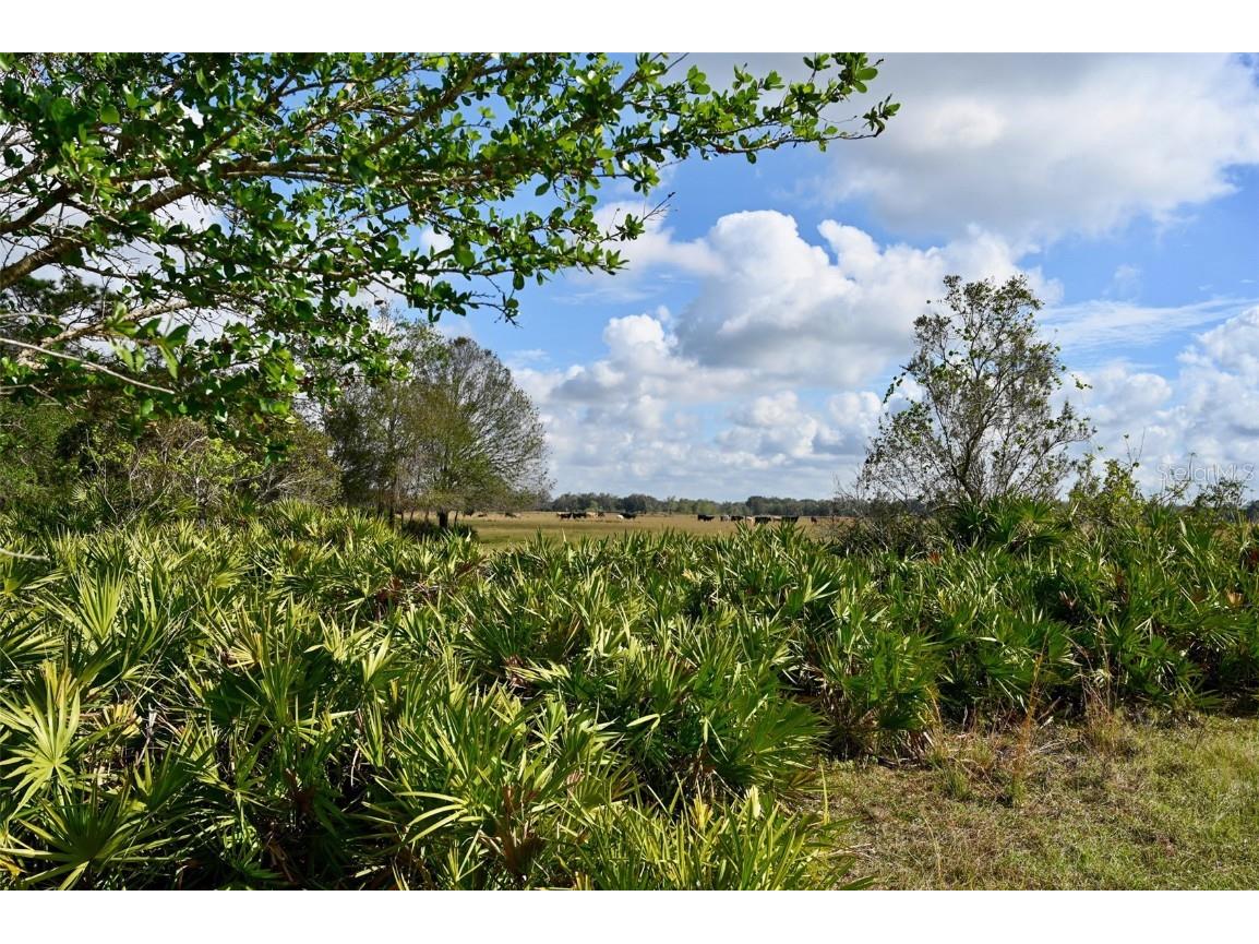 5185 NE Highway 17 Arcadia FL 34266 OM691689 image14