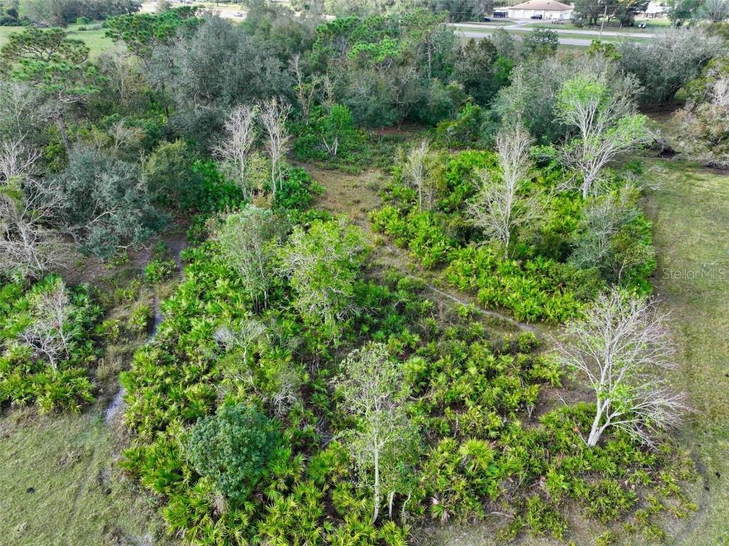 5185 NE Highway 17 Arcadia FL 34266 OM691689 image15