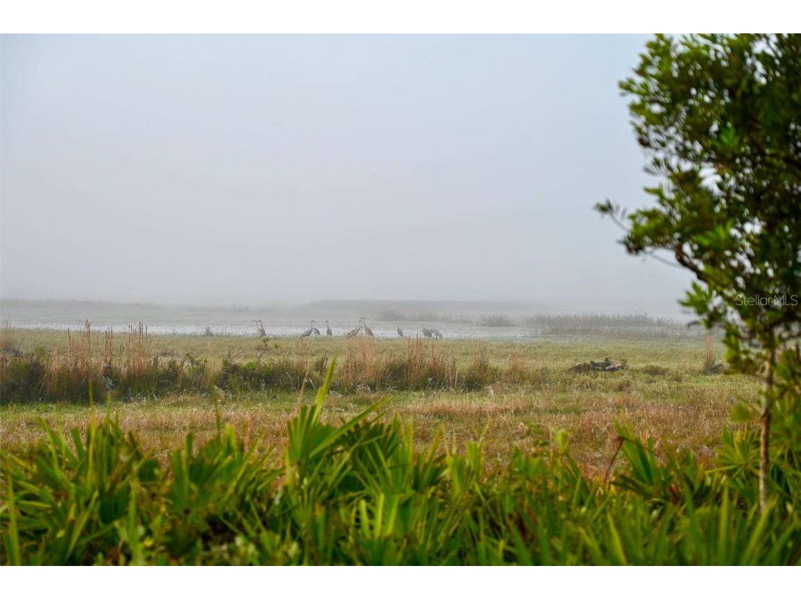 5185 NE Highway 17 Arcadia FL 34266 OM691689 image16