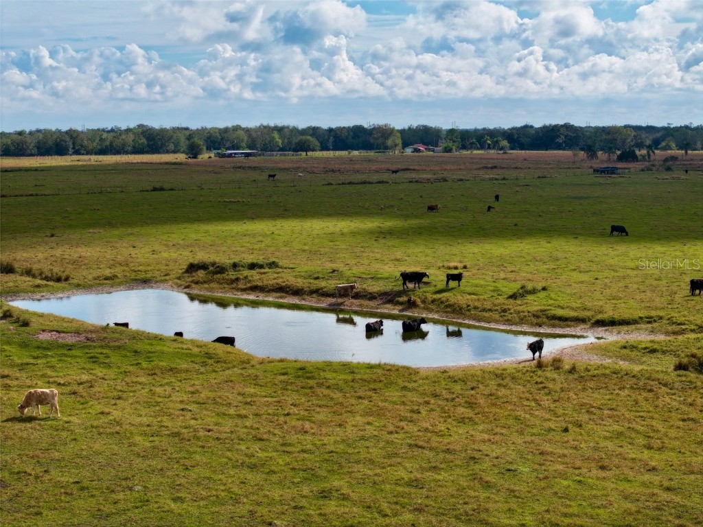 5185 NE Highway 17 Arcadia FL 34266 OM691689 image20