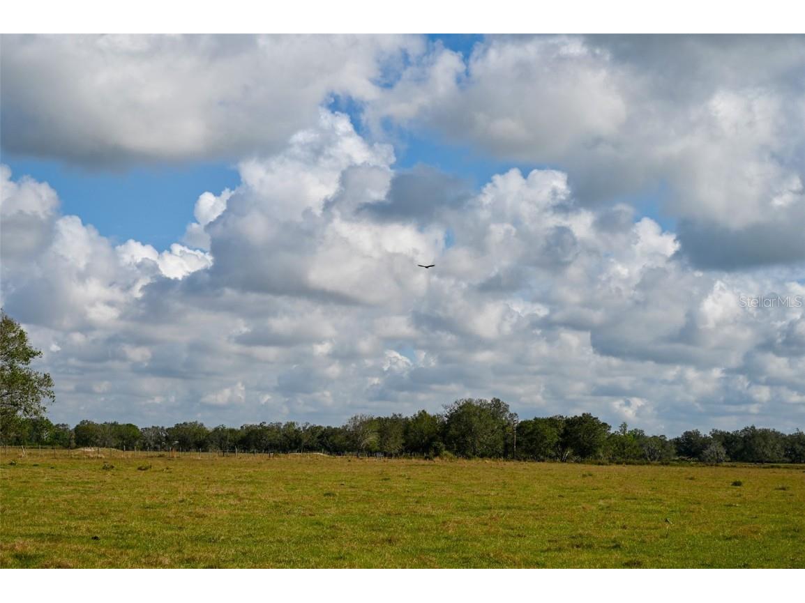 5185 NE Highway 17 Arcadia FL 34266 OM691689 image22