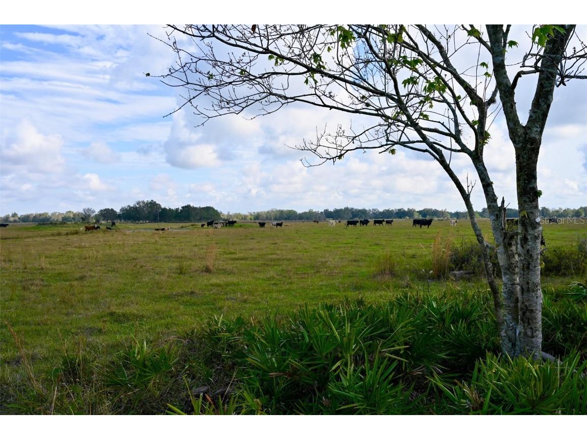 5185 NE Highway 17 Arcadia FL 34266 OM691689 image23