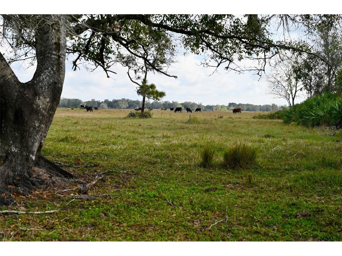 5185 NE Highway 17 Arcadia FL 34266 OM691689 image26