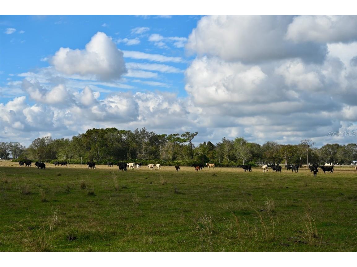 5185 NE Highway 17 Arcadia FL 34266 OM691689 image29