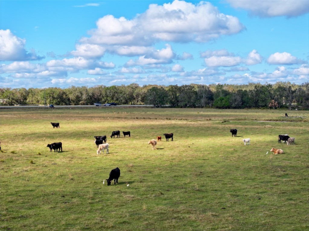 5185 NE Highway 17 Arcadia FL 34266 OM691689 image3