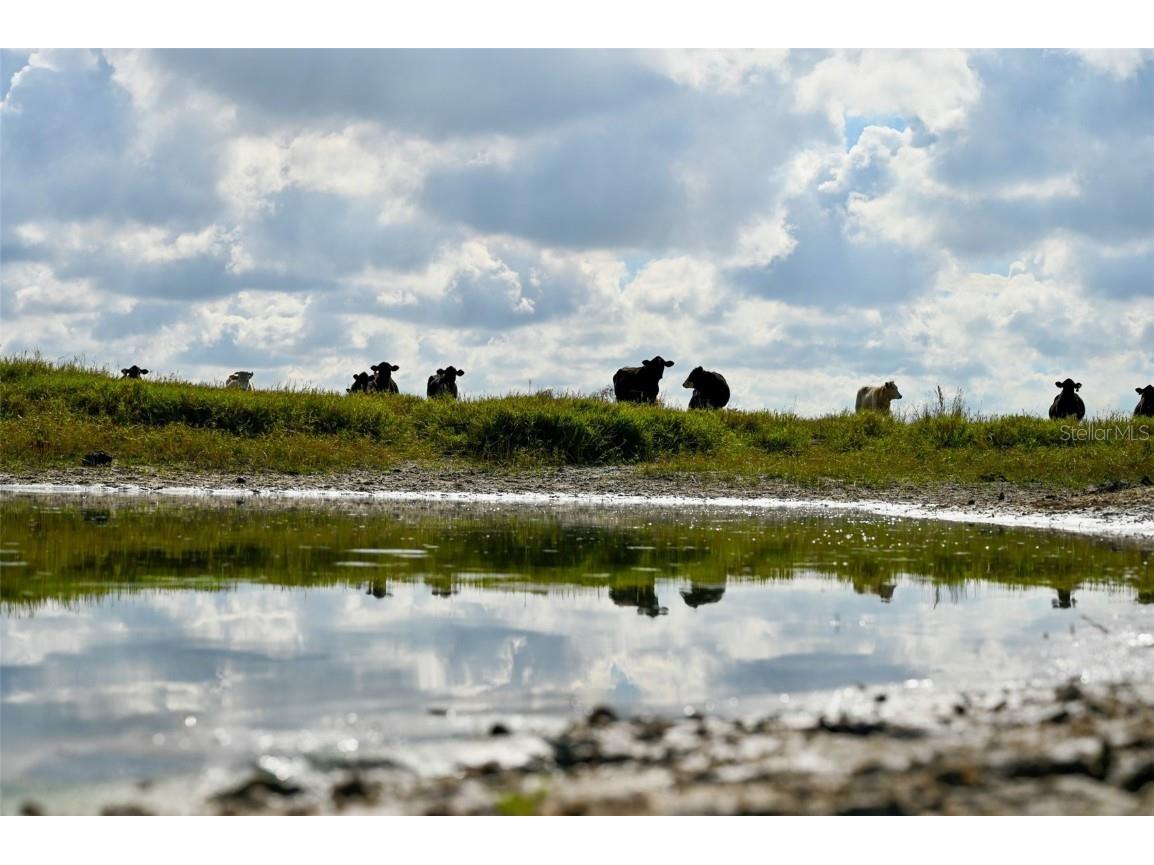 5185 NE Highway 17 Arcadia FL 34266 OM691689 image33