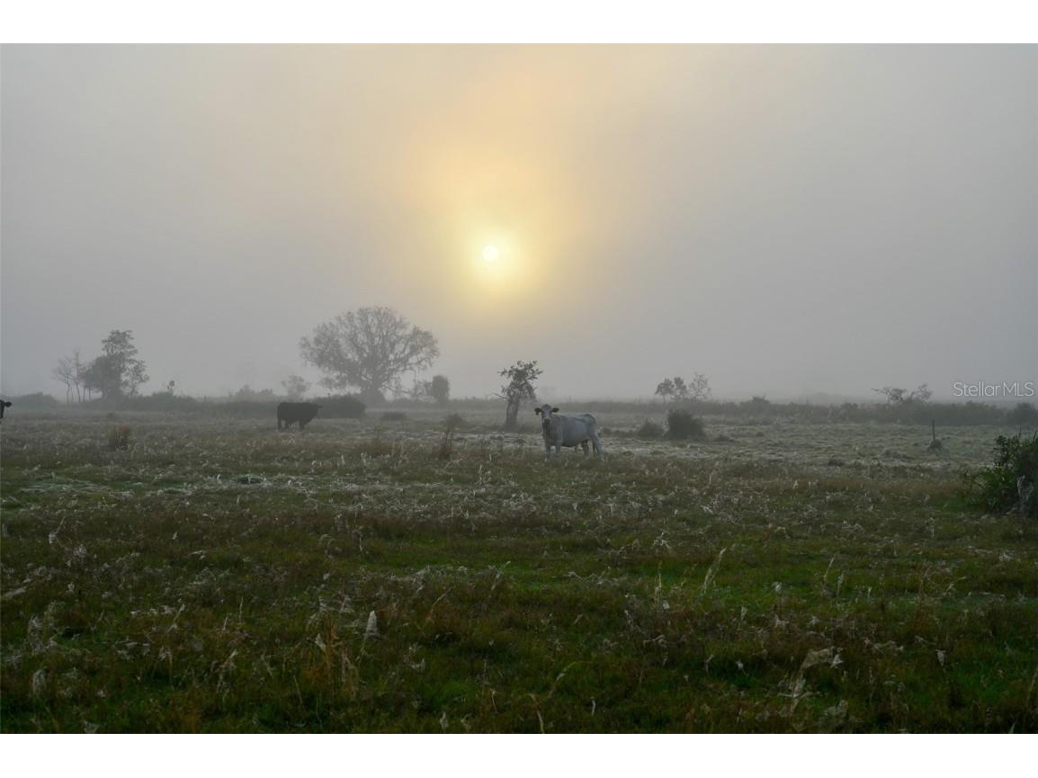 5185 NE Highway 17 Arcadia FL 34266 OM691689 image6