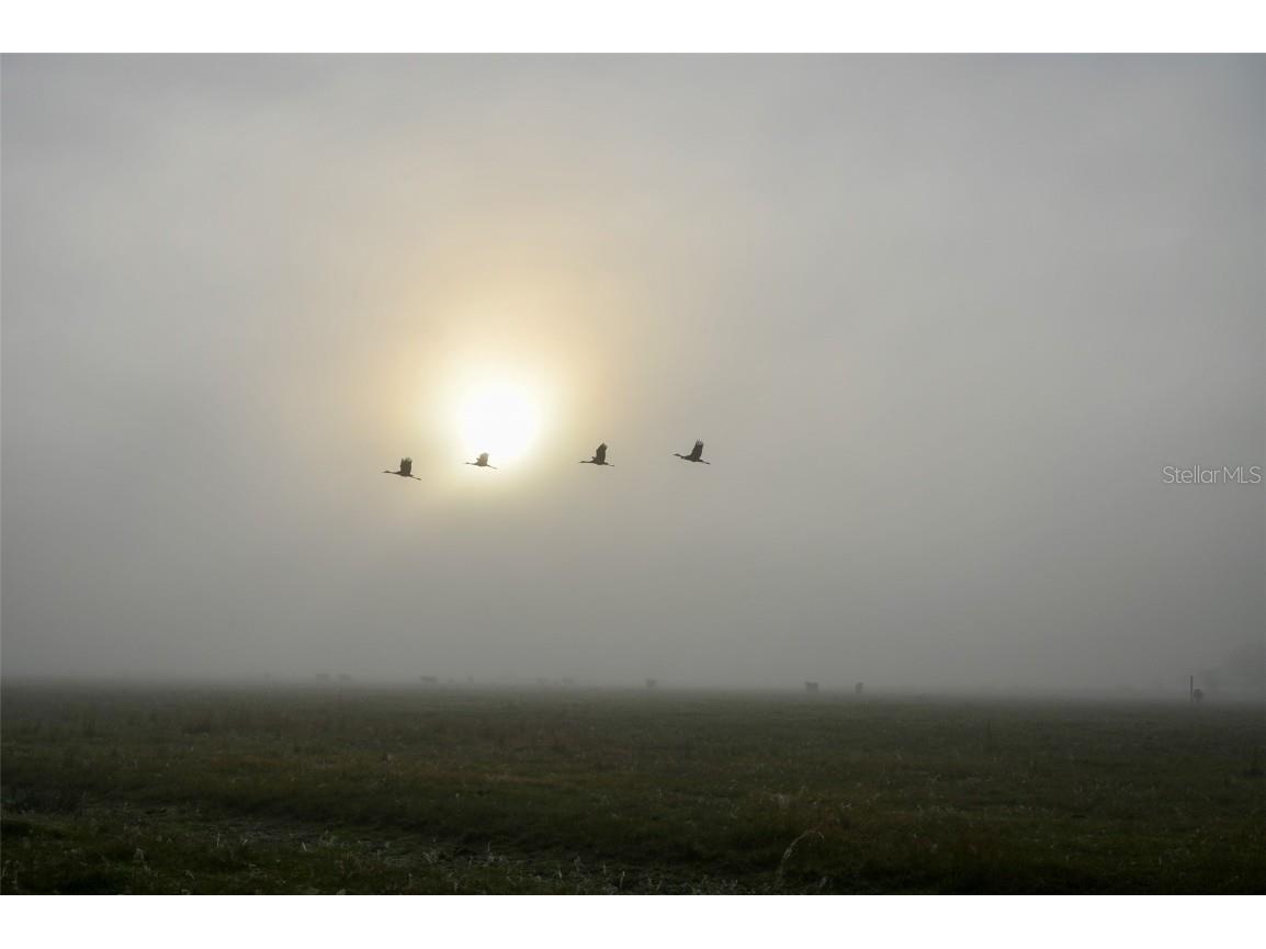 5185 NE Highway 17 Arcadia FL 34266 OM691689 image7