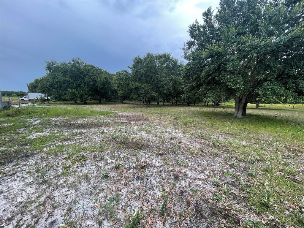 5187 Deer Run Drive Zolfo Springs FL 33890 C7512237 image16