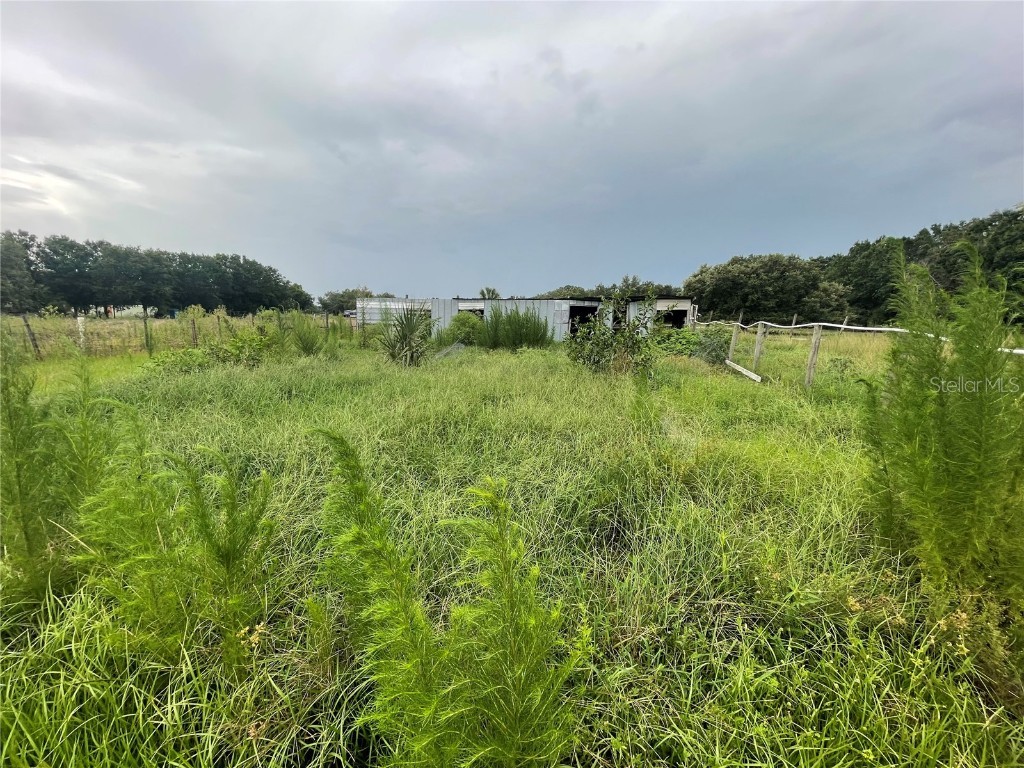 5187 Deer Run Drive Zolfo Springs FL 33890 C7512237 image24