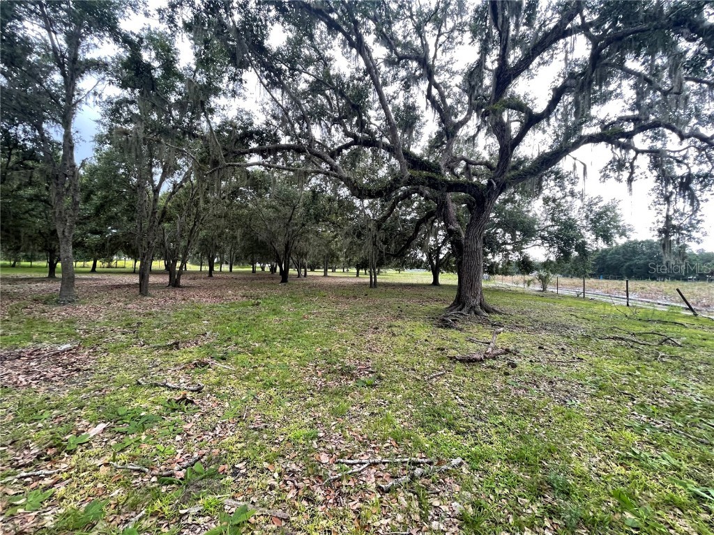 5187 Deer Run Drive Zolfo Springs FL 33890 C7512237 image4