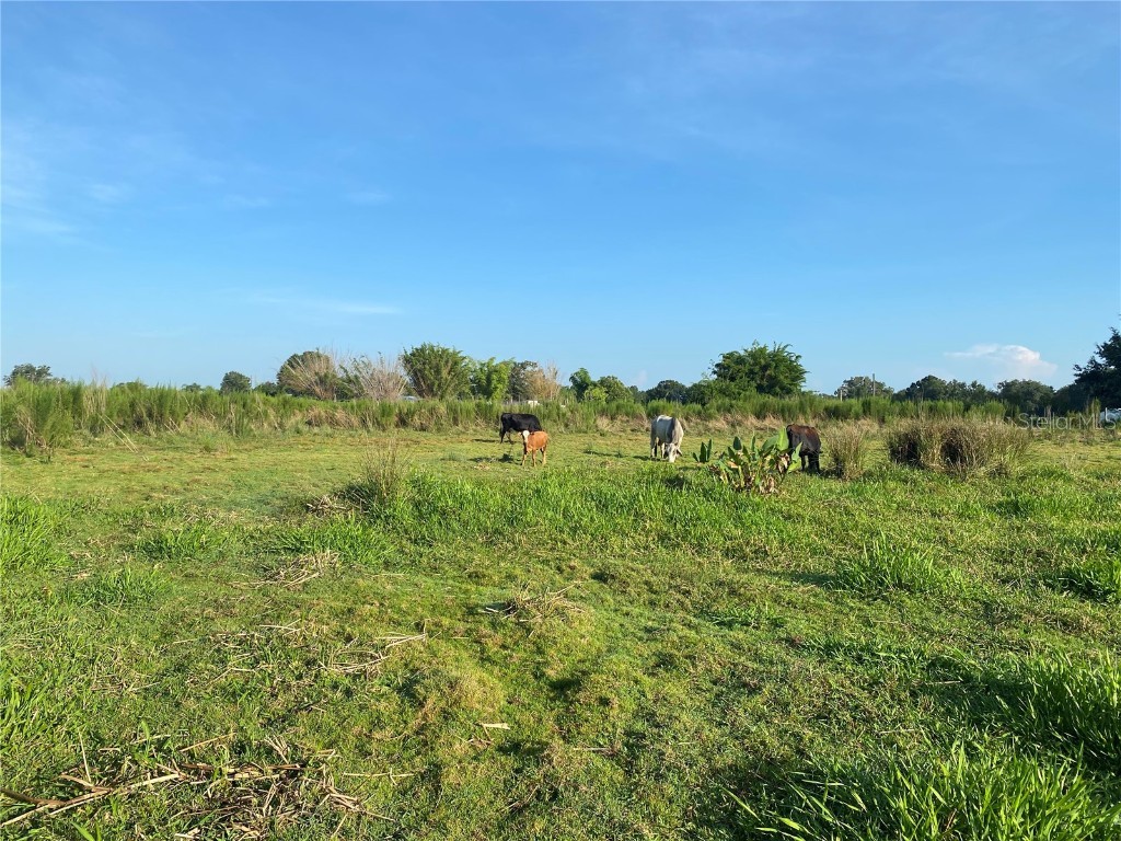 5187 Greenfields Run Zolfo Springs FL 33890 A4671766 image3