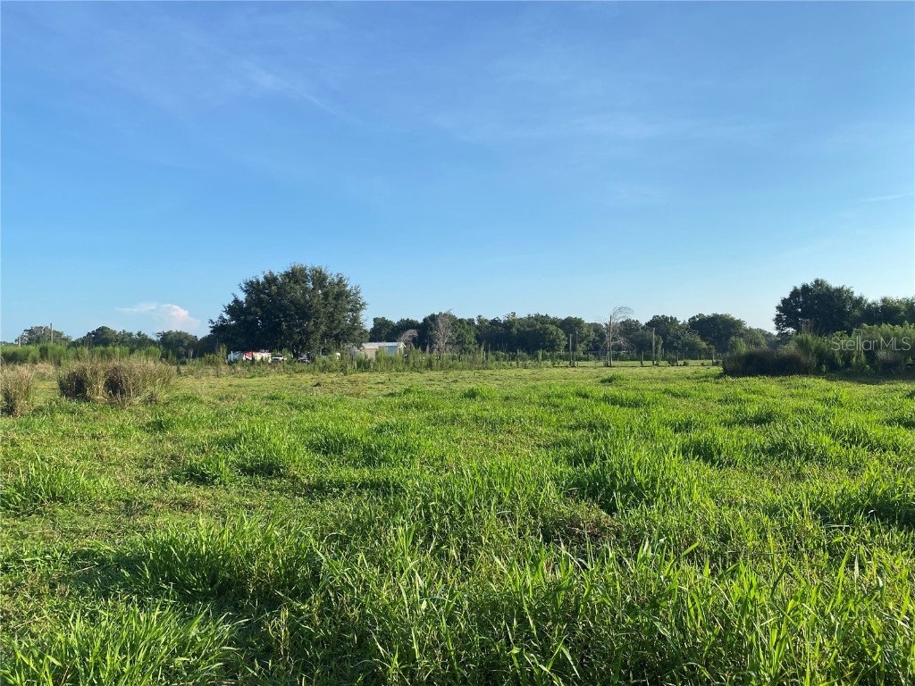 5187 Greenfields Run Zolfo Springs FL 33890 A4671766 image4