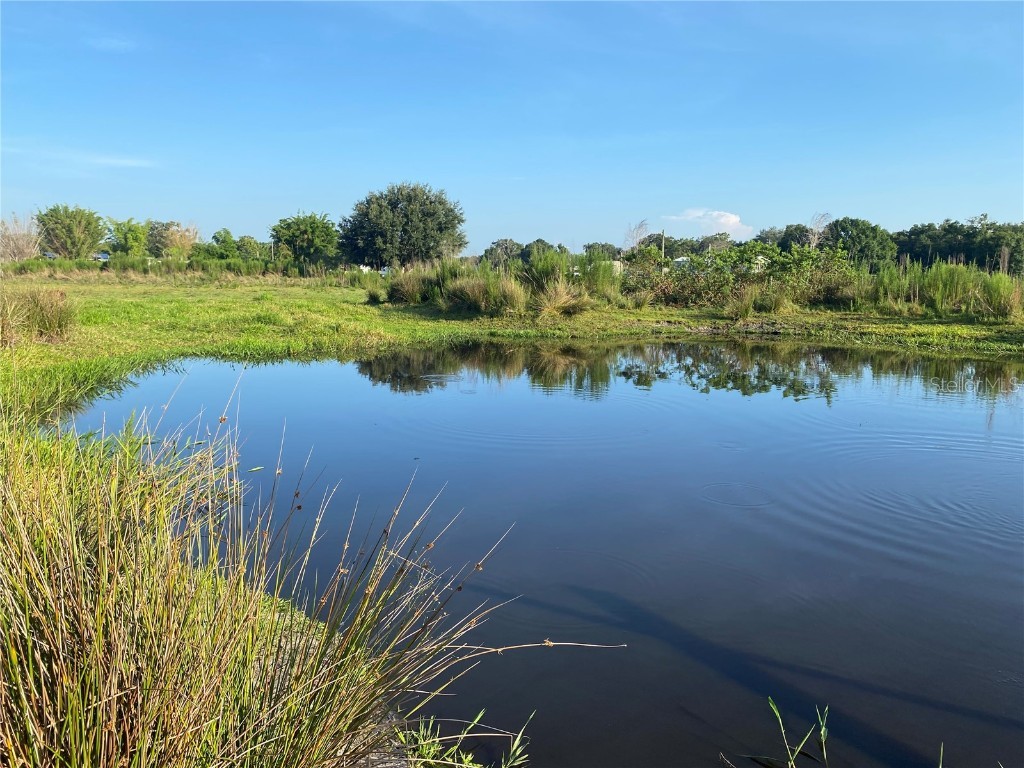 5187 Greenfields Run Zolfo Springs FL 33890 A4671766 image5