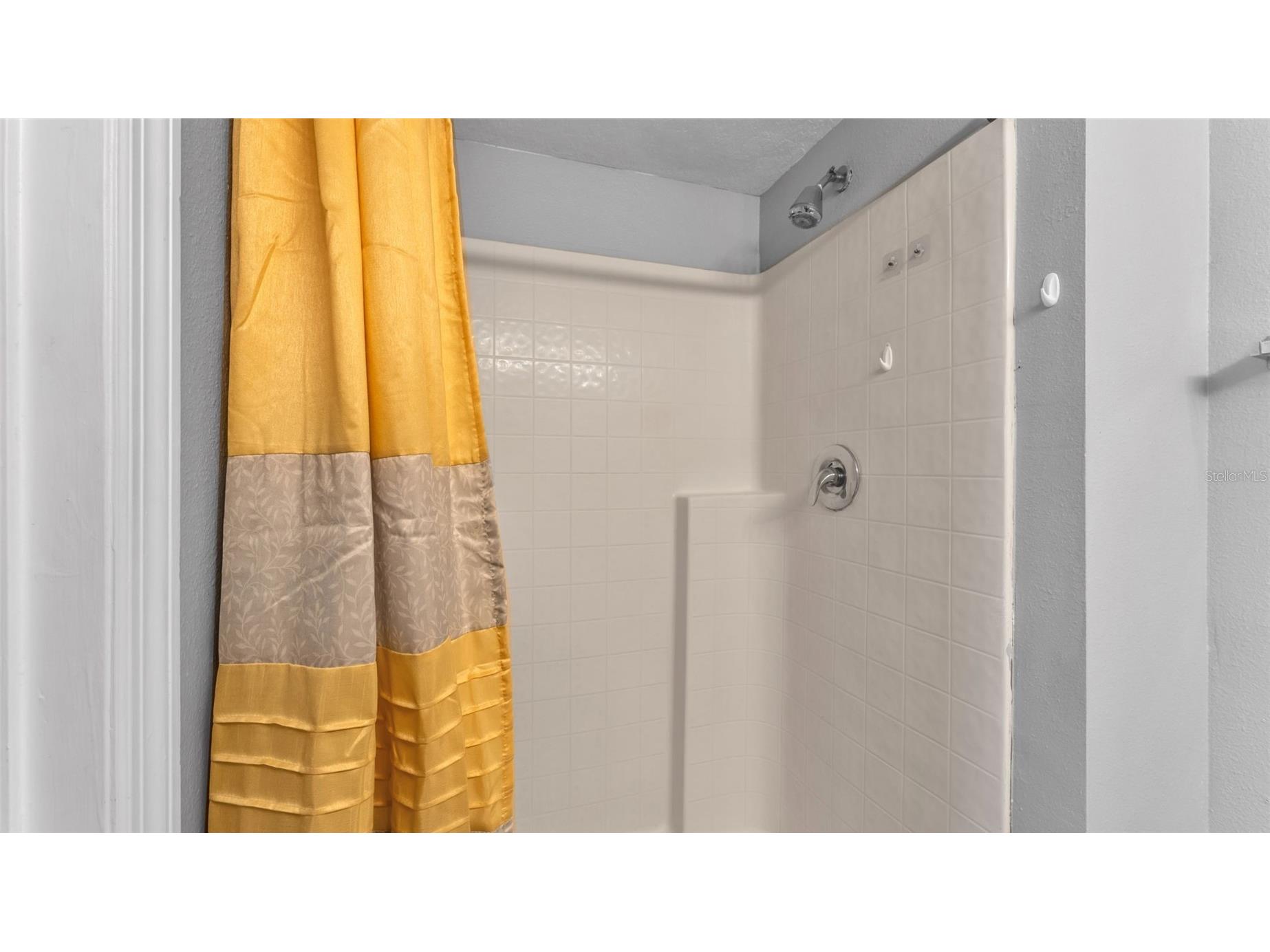 5187 Spanish Oaks Lane Lakeland FL 33805 L4960782 image48