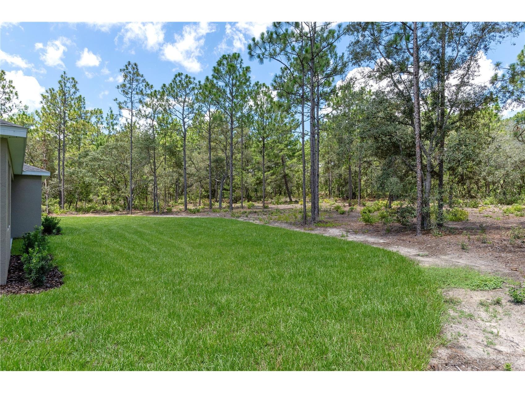 5188 N Cliff Drive Beverly Hills FL 34465 W7882762 image49