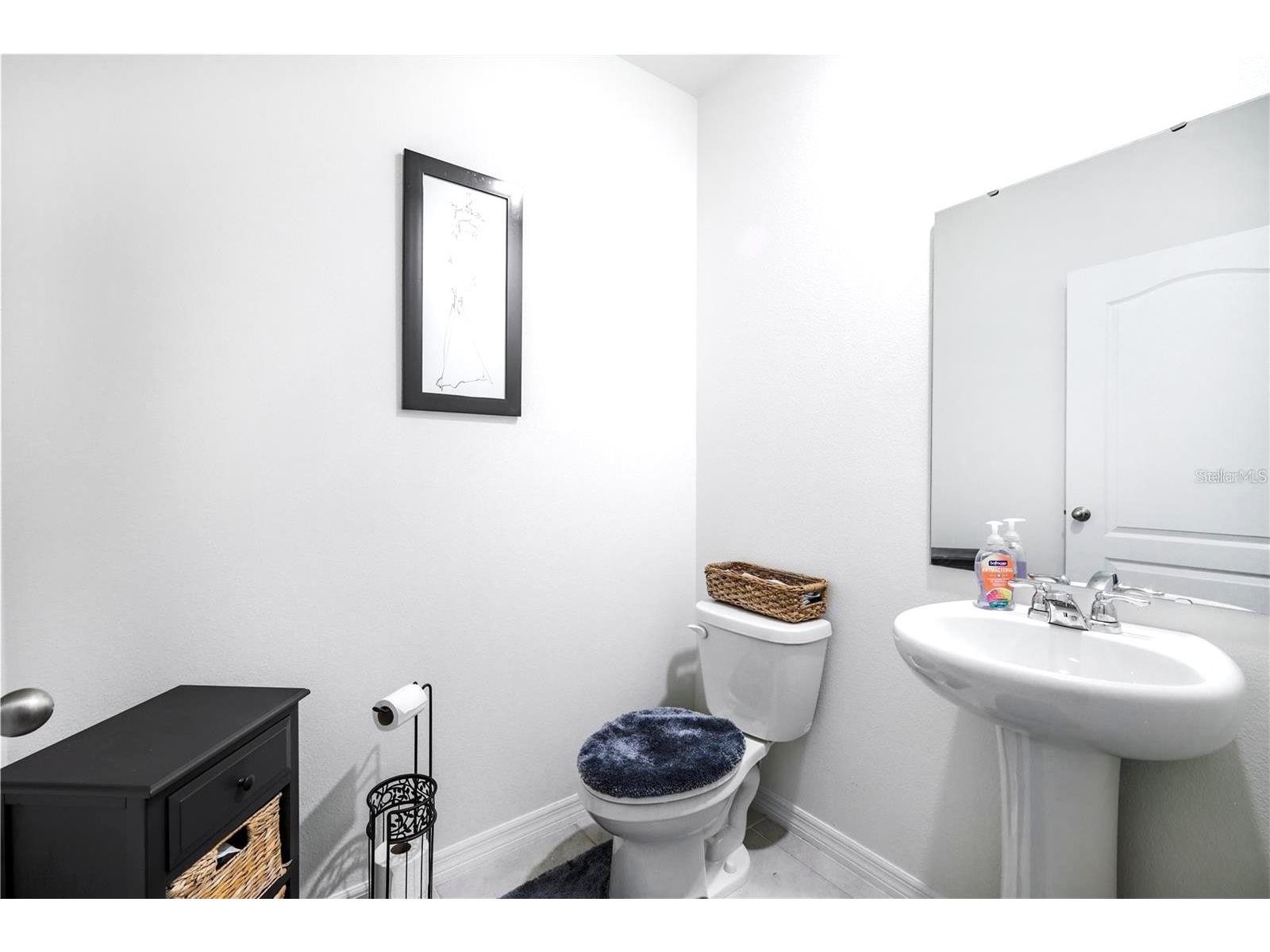 5189 Greenheart Avenue Mount Dora FL 32757 O6408426 image10