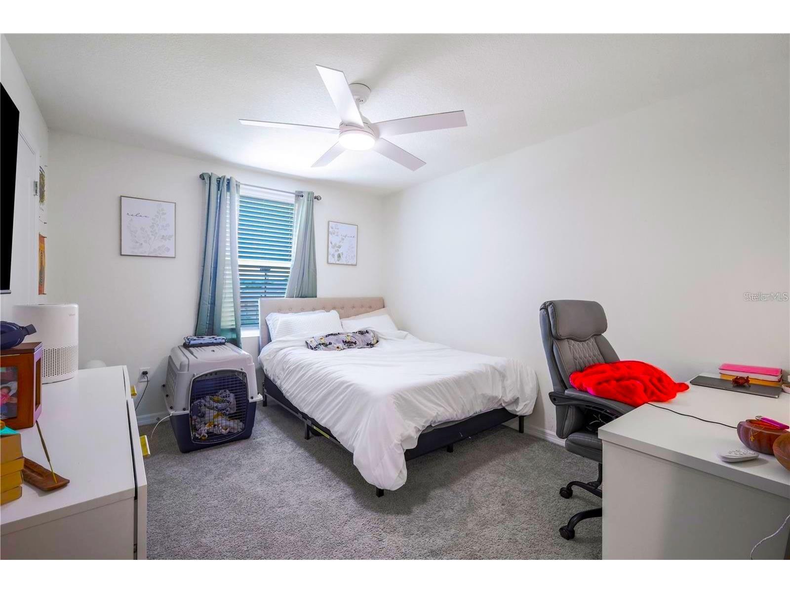 5189 Greenheart Avenue Mount Dora FL 32757 O6408426 image23