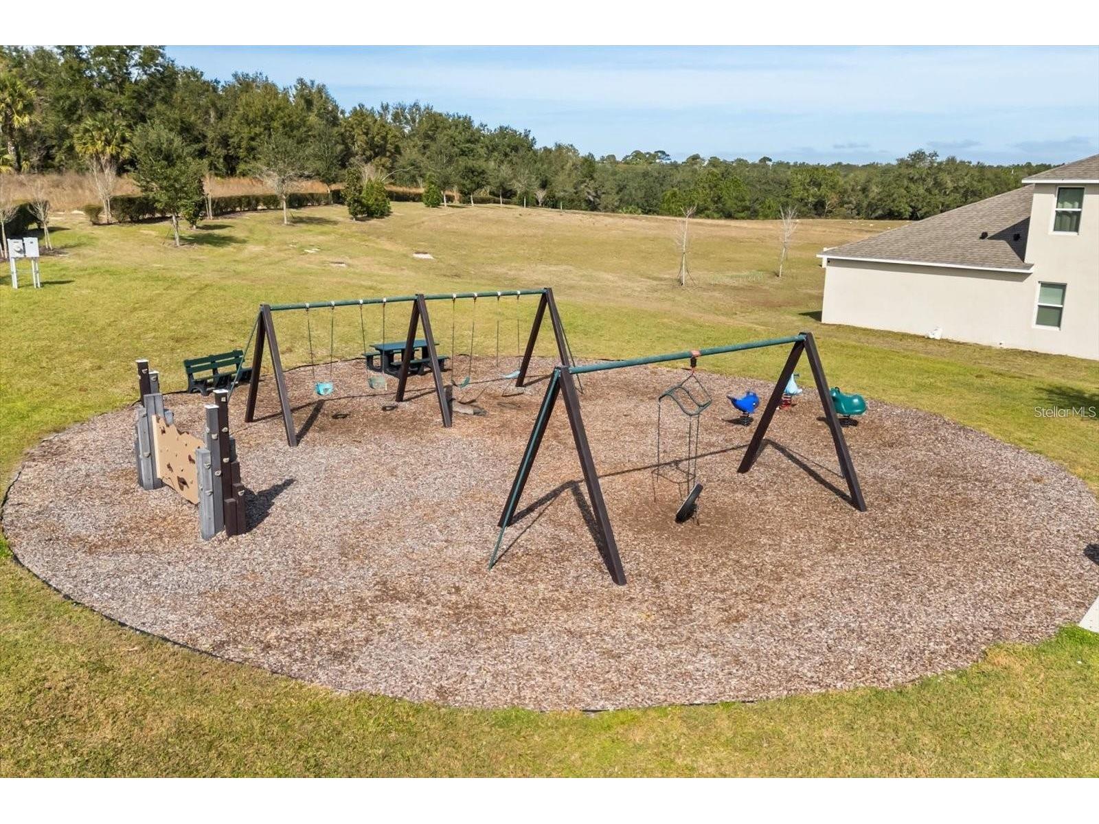 5189 Greenheart Avenue Mount Dora FL 32757 O6408426 image28